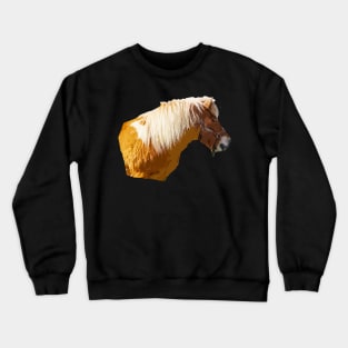 pony Crewneck Sweatshirt